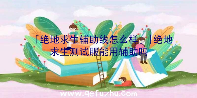 「绝地求生辅助线怎么样」|绝地求生测试服能用辅助吗